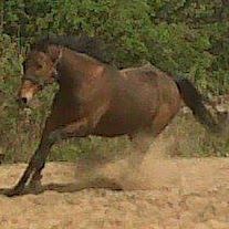 Samantha Watkins's avatar