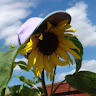 Kathy H's avatar