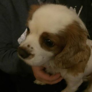 Ellen Kitsull's avatar