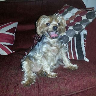 Darren John Lowndes's avatar