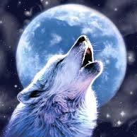 Abbie Stanley's avatar