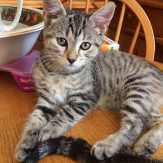 Phillipa Davies's avatar