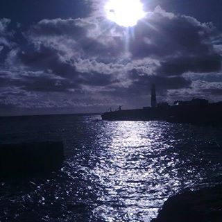 Julie Staddon's avatar