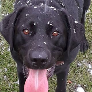 Mark Wright's avatar