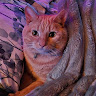 Catriona M's avatar