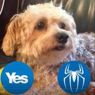 Heather Davidson's avatar