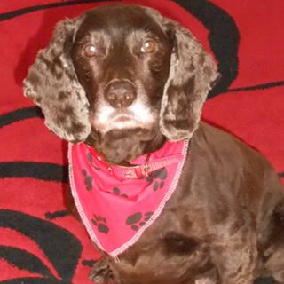 Yvonne Anderson's avatar