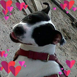 David Nason's avatar