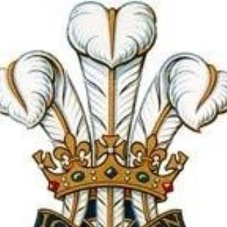 Wayne Shearan's avatar