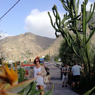 Olga Titova's avatar