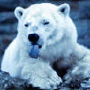 Bernie Lobb's avatar