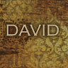 David Doctadee11:11 Foster's avatar