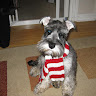 Kirsty Hard's avatar