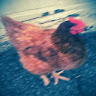 T W's avatar
