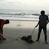 Arjun k Uthaman's avatar