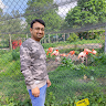Mitesh Zala's avatar
