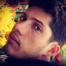 Deven Bastola's avatar