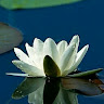 Nozrul Islam's avatar