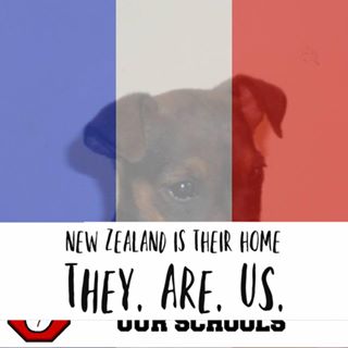 Nigel Williams's avatar