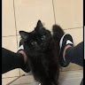 Midlaj KL's avatar