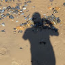 R A's avatar