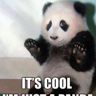 Jean Panda-Pants Sheppard's avatar