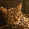 Juno Sobers's avatar