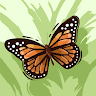 Freshfacedbeautys's avatar