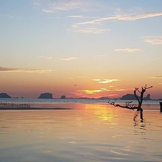 Louis Russell Silvio's avatar