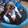 L Davies's avatar