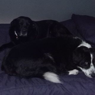 John Mcgreevy's avatar