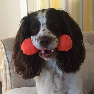 Margaret Doherty's avatar