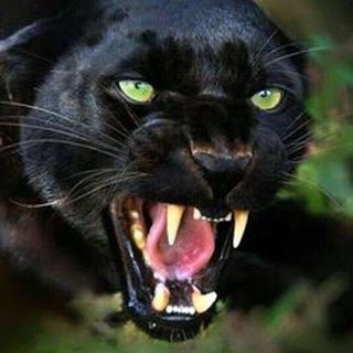 Krissy Baldwin's avatar