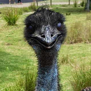 John Kennedy's avatar