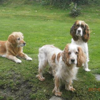 Pete Downing's avatar