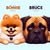 {"display":"Emma Barron","full_name":"Emma Barron","avatar":{"url":"\/assets\/uploads\/avatars\/users\/1314255.png"}}'s avatar