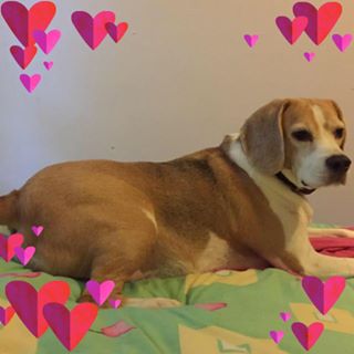 Josephine Ann Dutton's avatar