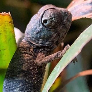 Mark Kimber's avatar