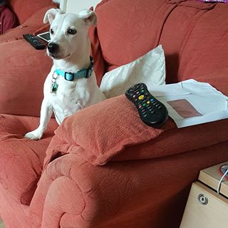Clare Louise's avatar