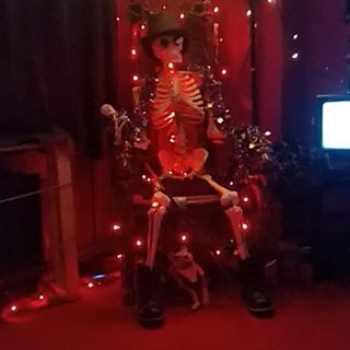 Lee Wilson's avatar