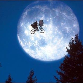 Mark Lewis's avatar