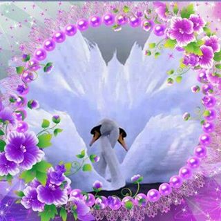Paula Anslow's avatar