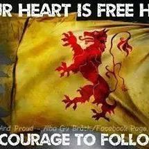 Steven Mcallister's avatar