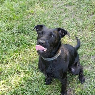 Aaron Booth's avatar