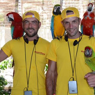 Keiron Oliver's avatar