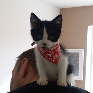 Pawel Paul Kociuba's avatar