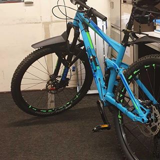 Guy Mitchell's avatar