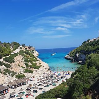 Julie Montgomery's avatar