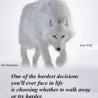 Gordon Cocks's avatar