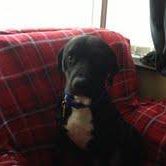 Peter Miller's avatar